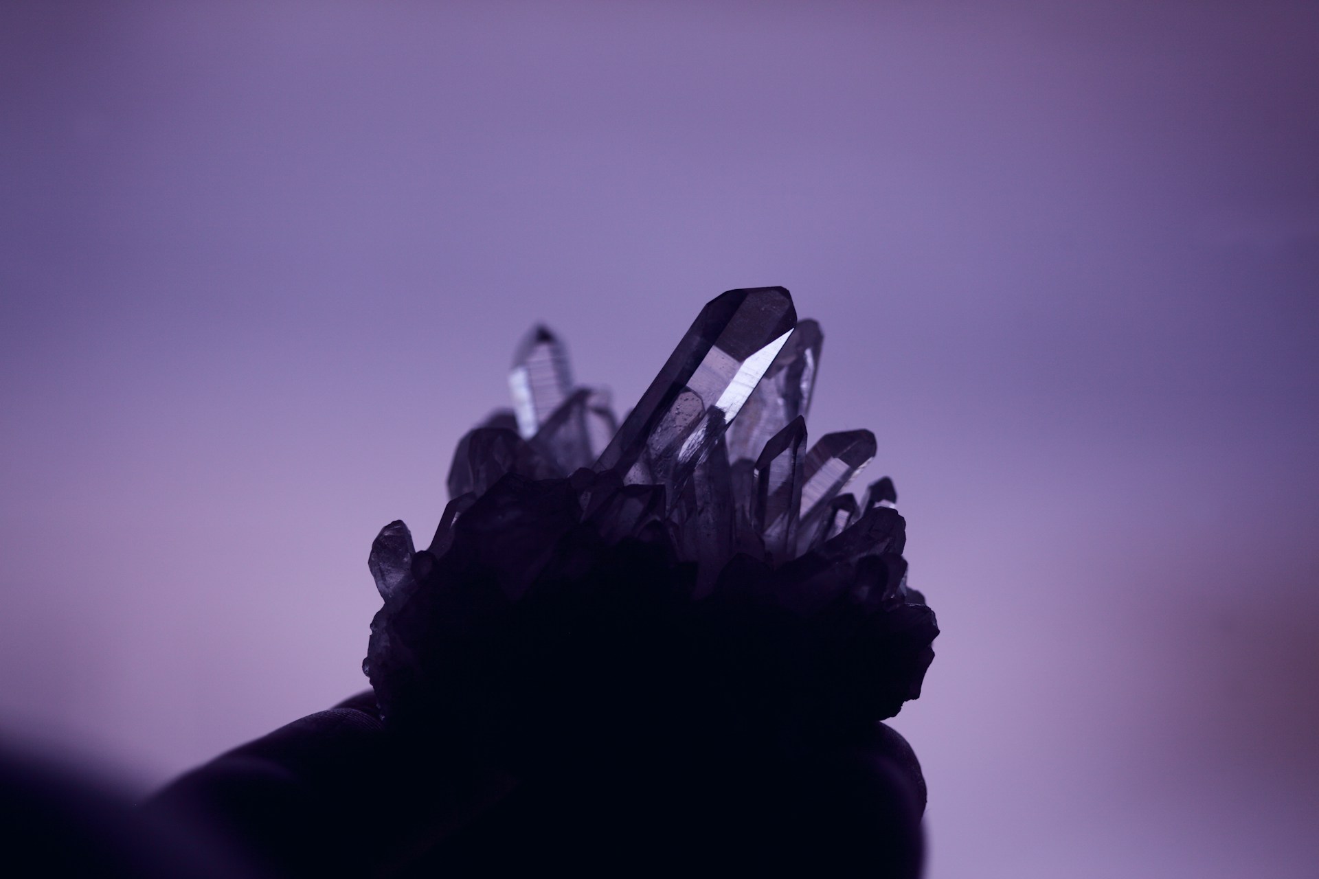 Unsplash - see 'credits page' for artists names / portfolios