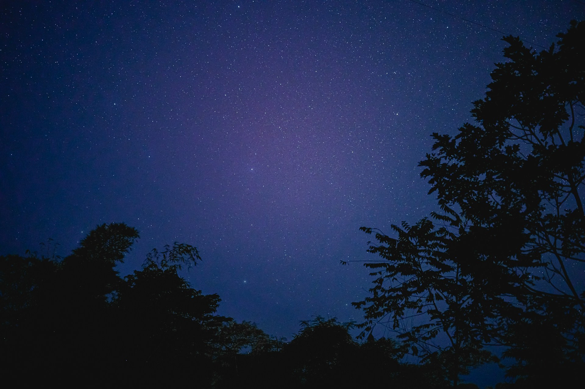 Unsplash - see 'credits' for artists names / portfolios